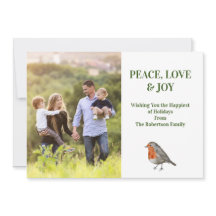 RedBrust Robin Bird Modern Fotografy Foto