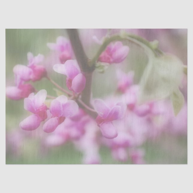 Redbud-Blüten Seidenpapier (Vorderseite)