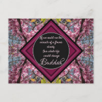 Redbud Branches Budda Blume Zitat