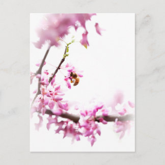 Redbud & Honeybee in Springtime Einladungspostkarte