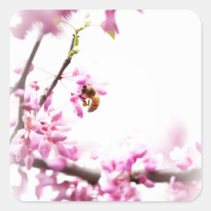 Redbud & Honeybee in Springtime Quadratischer Aufkleber