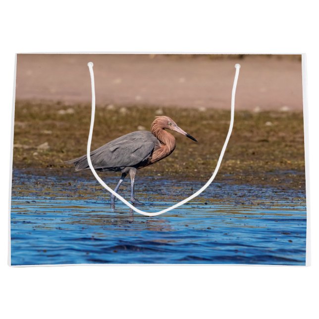 Reddish Egret am North Beach Große Geschenktüte (Vorderseite)
