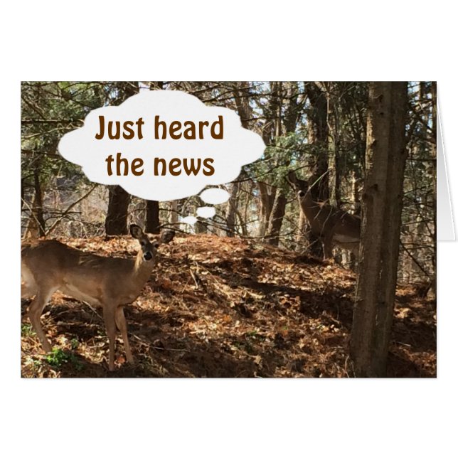 REDE DEER COUPLE: "SIE SIND ***21**** (Vorderseite (Horizontal))