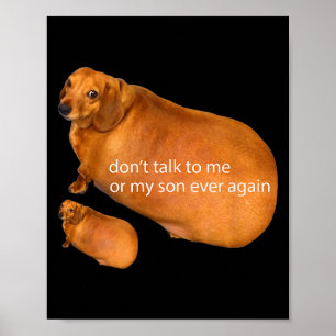 Rede nie wieder mit mir oder meinem Sohn Funny Dac Poster