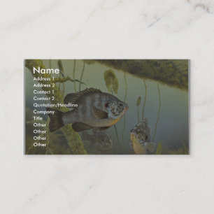 Redear Sunfish Visitenkarte