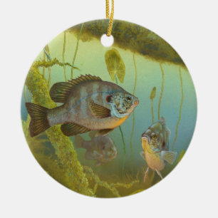 Redear SunfishLepomis Microlophus Timothy Knepp Keramikornament
