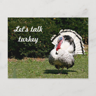 Reden wir mit Truthahn Postkarte