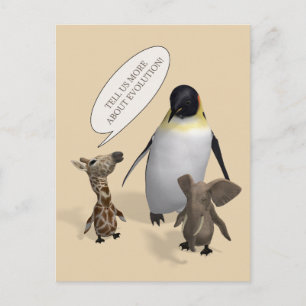 Reden wir über Evolution Postkarte