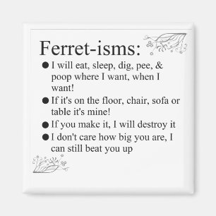 Redewendungen von Ferret Pictures und Zitate Magnet
