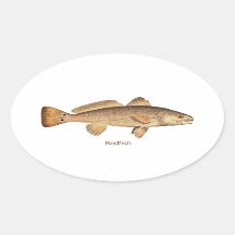 Redfish Logo