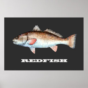 Redfish Poster