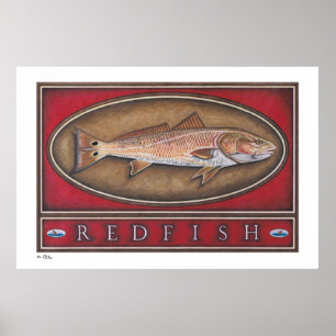 Redfish Poster, Prints und Rahmen Poster