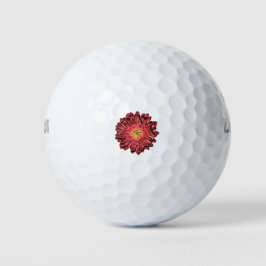 redgerberadaisyRed Gerbera Daisy Golfball