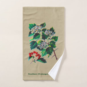 Redhaw Hawthorn über altes Papier Handtuch