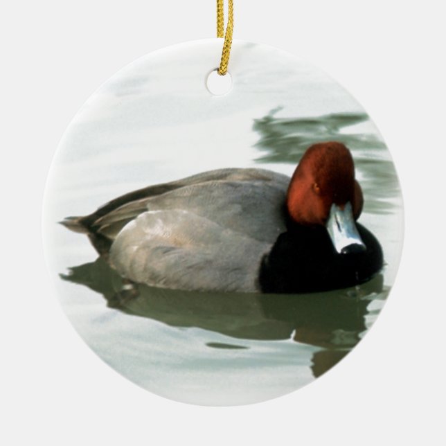 Redhead-Ente Keramikornament (Vorne)