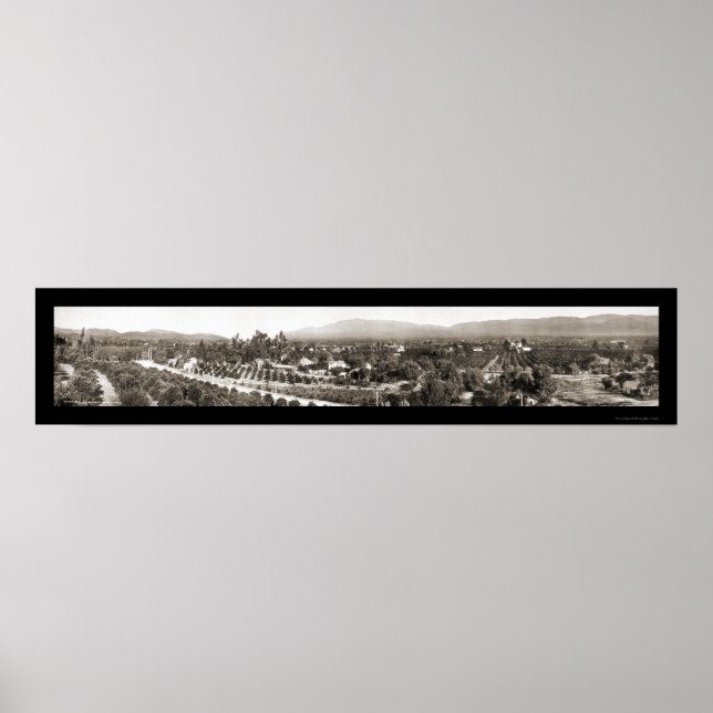 Redlands CA Panorama Foto 1908 Poster (Vorne)