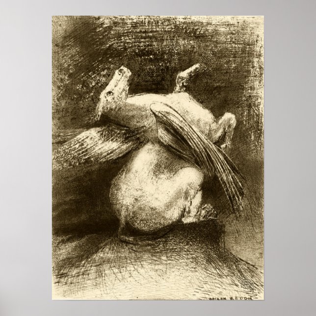 Redon - The Impotentent Wing (Animal Black Space) Poster (Vorne)
