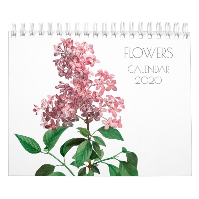REDOUTÉ BLUME ILLUSTRATION CALENDER KALENDER (Titelbild)