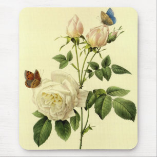 Redoute Druck: 'Bengalische Rose Hymanee Mousepad