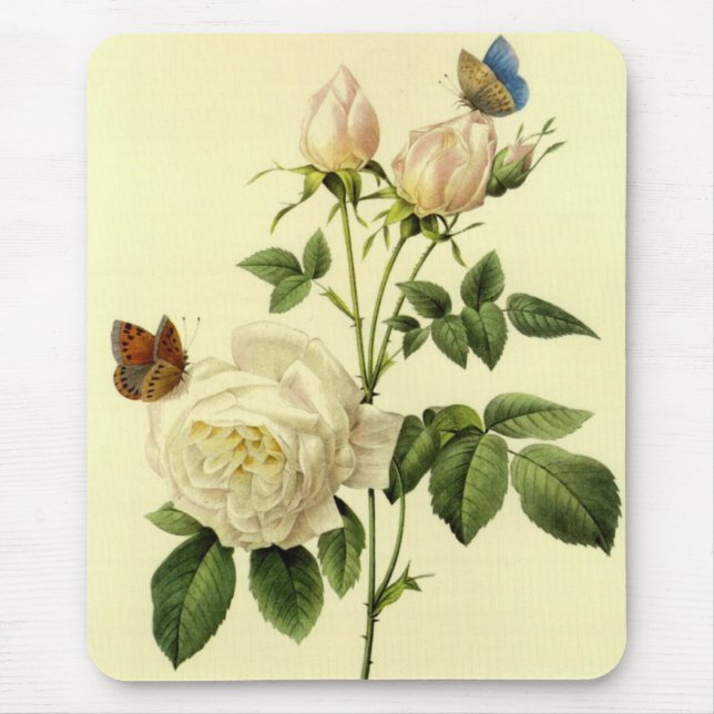 Redoute Druck: 'Bengalische Rose Hymanee Mousepad (Vorne)