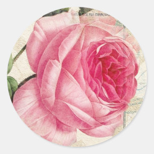 Redoute französische Rosenaufkleber Runder Aufkleber