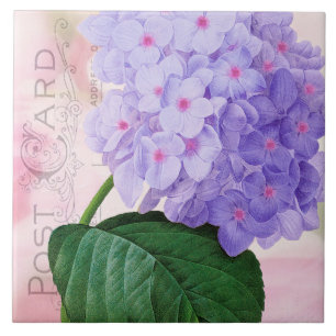 Redoute French Lila Hydrangea Keramik Tile Fliese