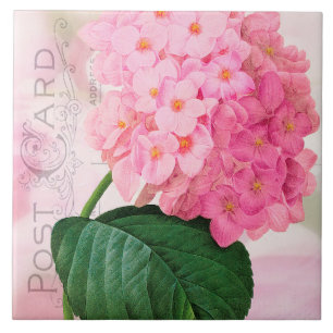 Redoute French Pink Hydrangea Keramik Tile Fliese
