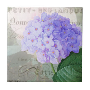 Redoute Hydrangea French Accent Keramik Tile Fliese