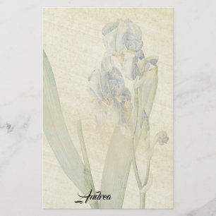 Redoute Iris-Blumen-Blätter-Reis-Papierbriefpapie Briefpapier