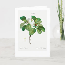 REDOUTÉ KUNDENBARE BOTANISCHE GREETKARTE KARTE