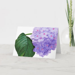 Redoute Lila Hydrangea Grußkarte Karte