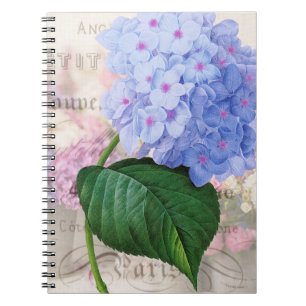 Redoute Pink Hydrangea Notebook Notizblock