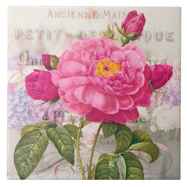 Redoute Pink Rose Keramik Tile Fliese (Vorderseite)