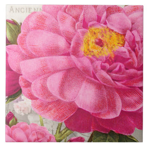 Redoute Pink Rose Keramik Tile Fliese