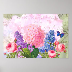 Redoute Vintag Blume Poster
