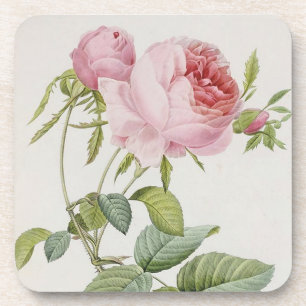 Redoute Vintage Rose Französische Akzent-Untersetz Untersetzer