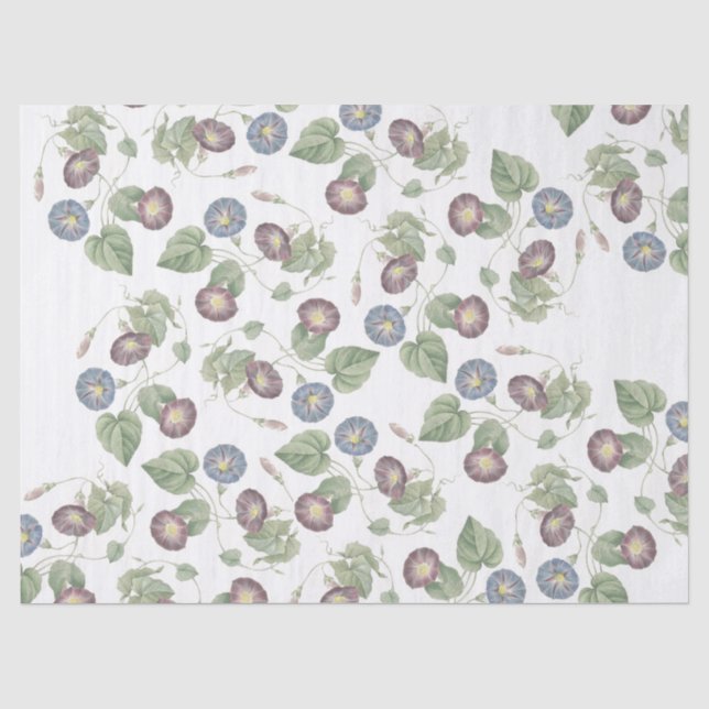 Redoute Winden-Blumen-Seidenpapier Seidenpapier (Vorderseite)