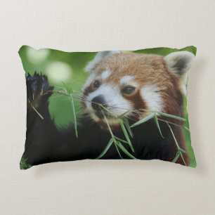 RedPanda 002 Dekokissen