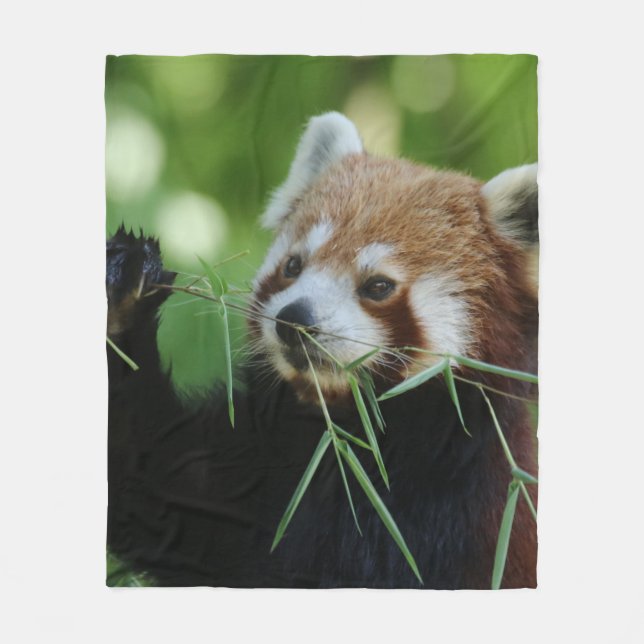 RedPanda 002 Fleecedecke (Vorderseite)