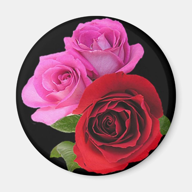 RedPinkTonedRoses2 Magnet (Vorne)