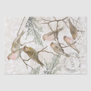 Redpoll Bird Branch Nature Decoupage Paris Vintag Seidenpapier