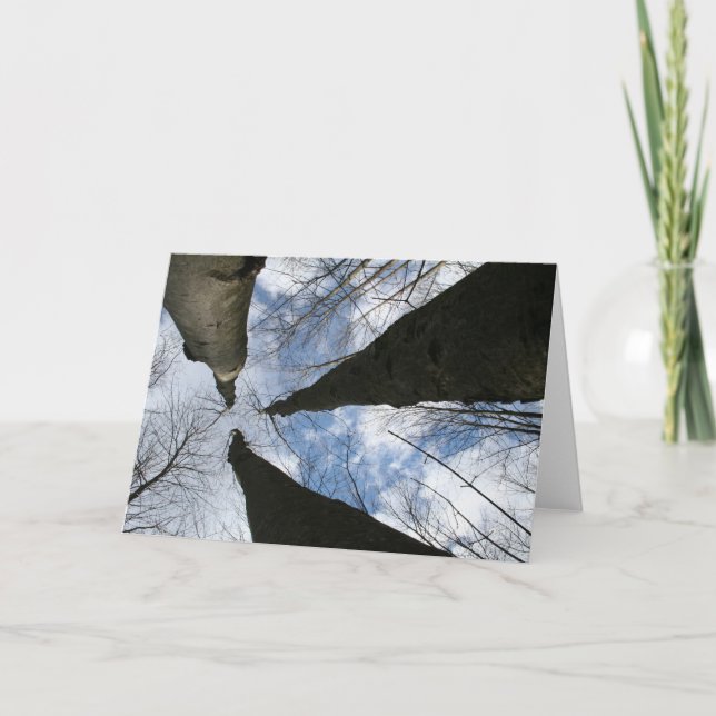 REDREAMING:SIEHE NACH KARTE (Vorderseite)