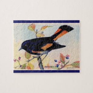 Redstart-Bird-Puzzle Puzzle