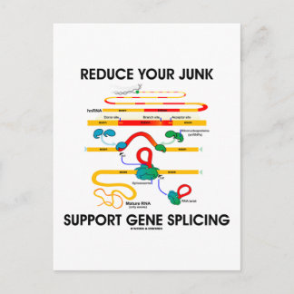 Reduzieren Sie die Gene Splicing (RNA-Spaß) der Ju Postkarte