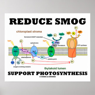Reduzieren Sie die Smog-Unterstützung der Fotosynt Poster