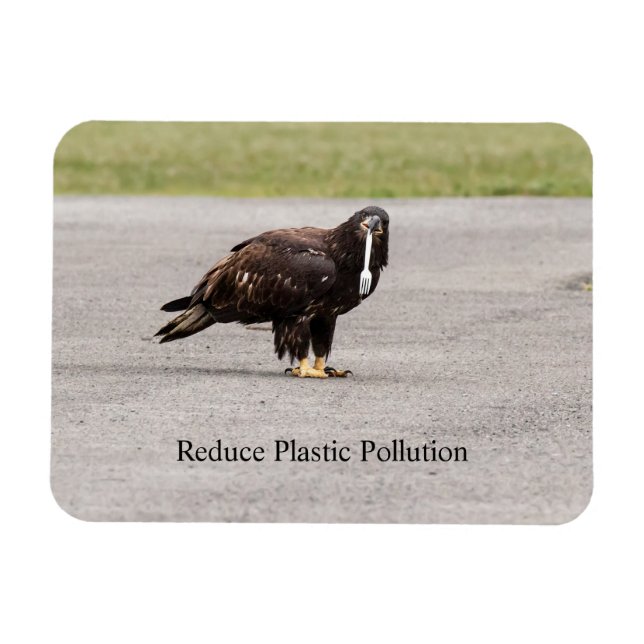 Reduzierung der Plastikverschmutzung Magnet (Horizontal)