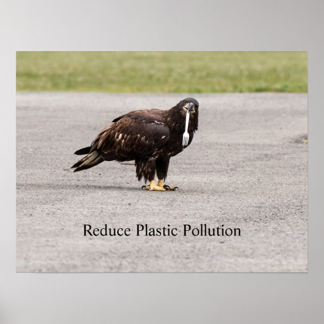 Reduzierung der Plastikverschmutzung Poster (Vorne)