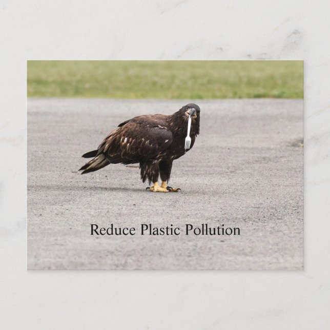Reduzierung der Plastikverschmutzung Postkarte (Vorderseite)