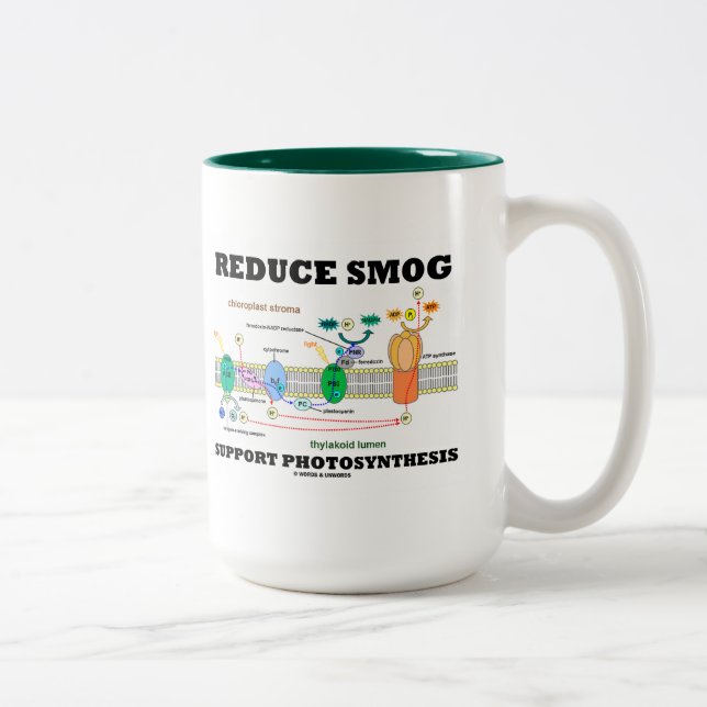 Reduzierung der Smog-Unterstützung Fotosynthese Zweifarbige Tasse (Rechts)