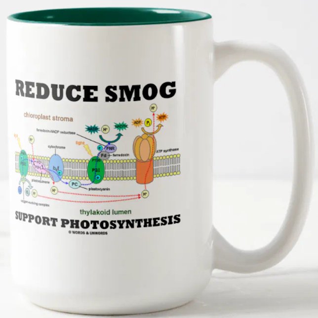 Reduzierung der Smog-Unterstützung Fotosynthese Zweifarbige Tasse (Environmentalists & biologists will enjoy this "Reduce Smog Support Photosynthesis" advice mug)